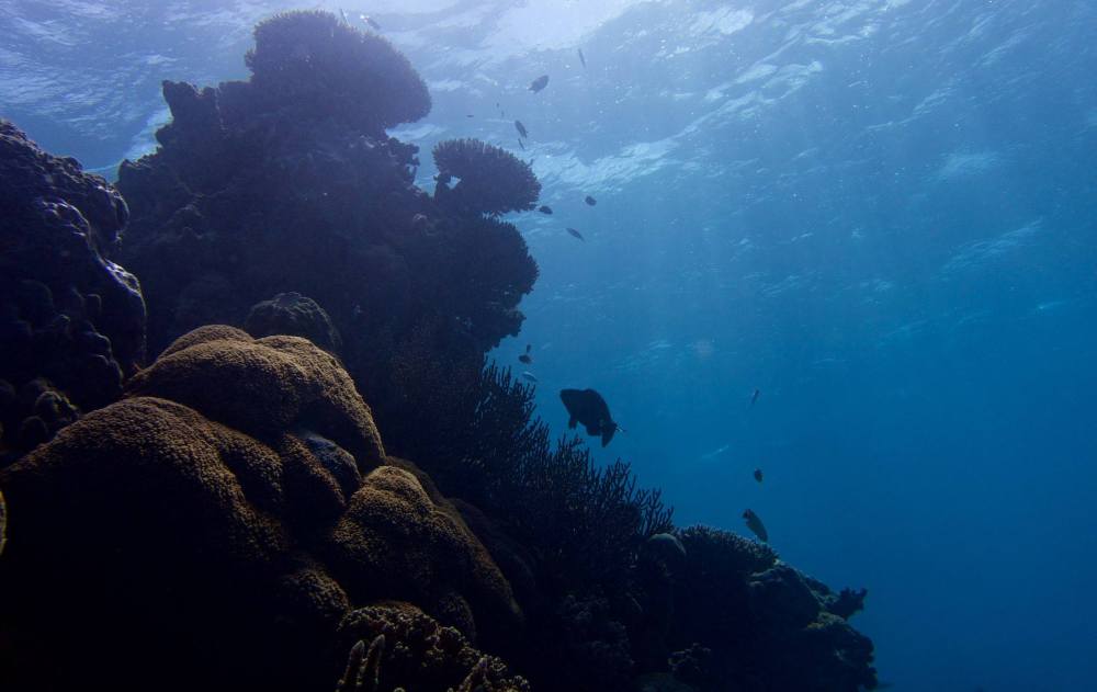 (c) Barefoot Tours - Scott Plume