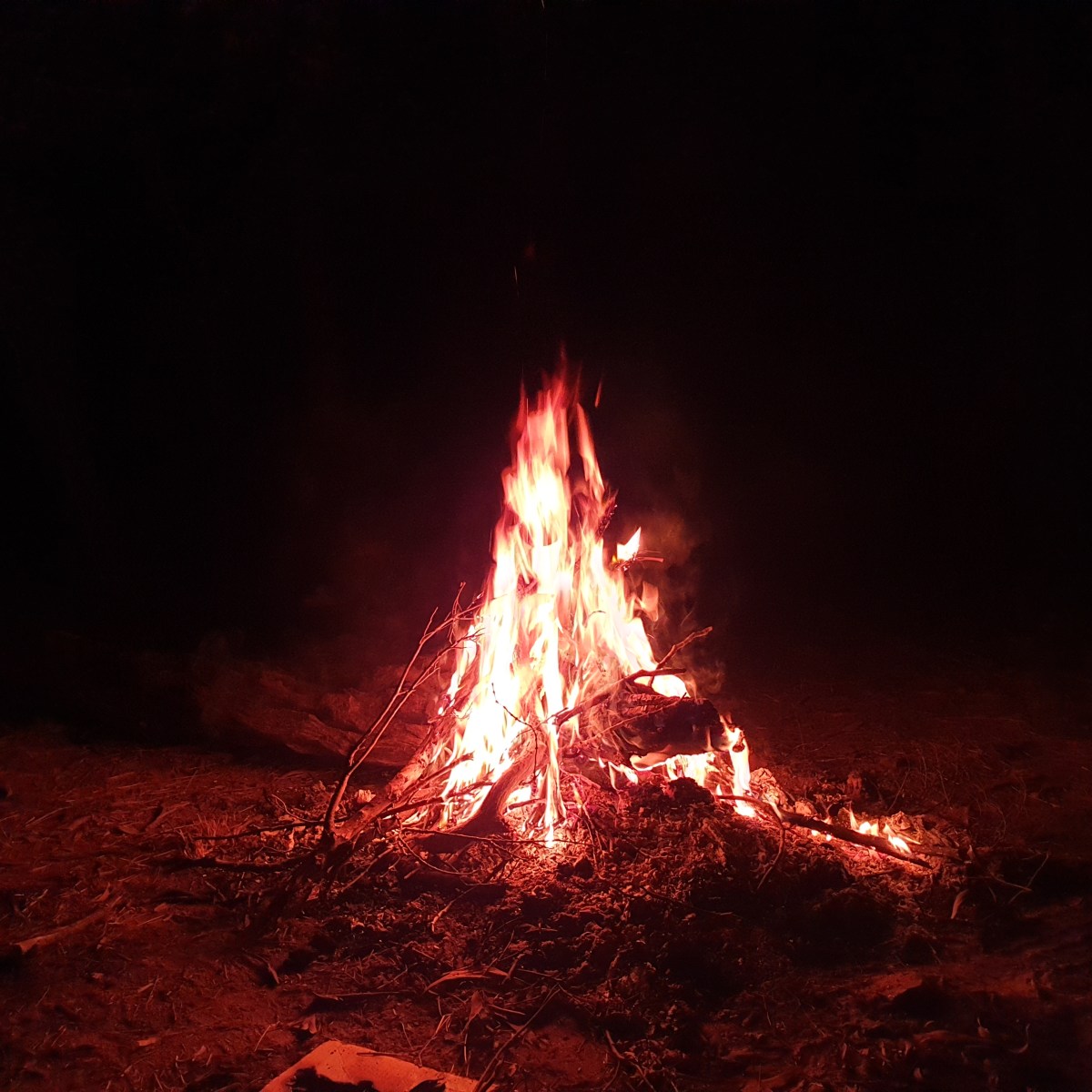 Campfire in Australia on a tour of Cairns