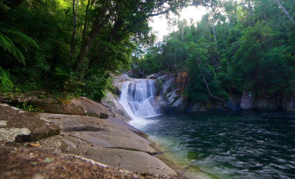 a large waterfall in a forest