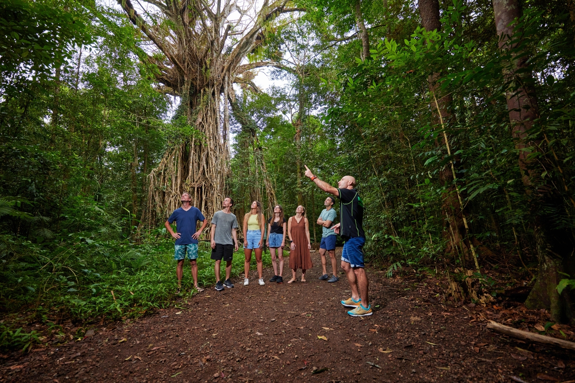 a group of people standing next to a tree