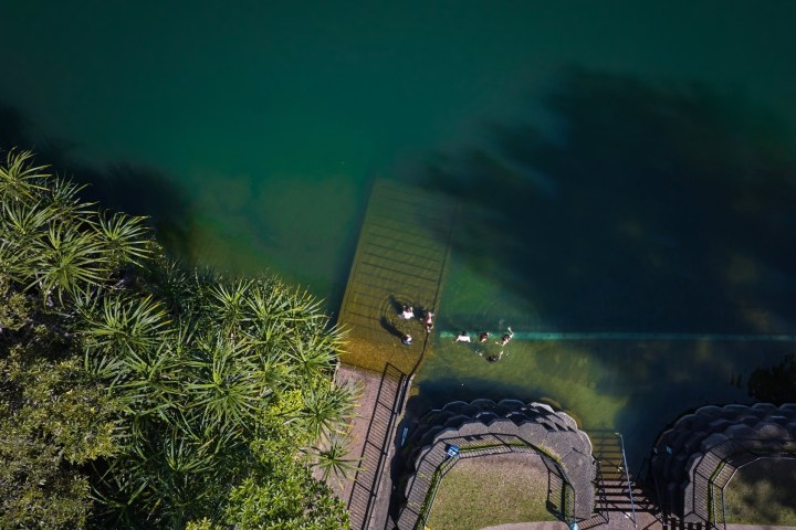 Greenfield on a Volcanic Crater Lake Eacham day tour Cairns