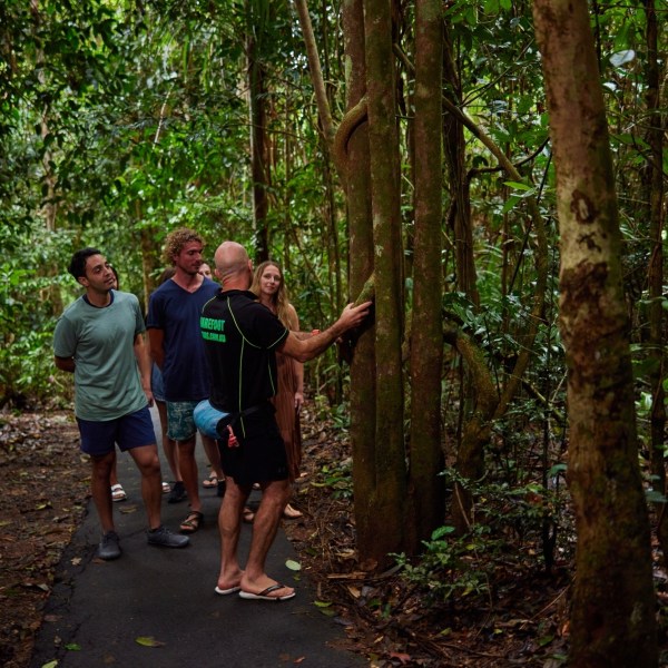 people standing next to a tree on a Rainforest Walk day trip in Cairns