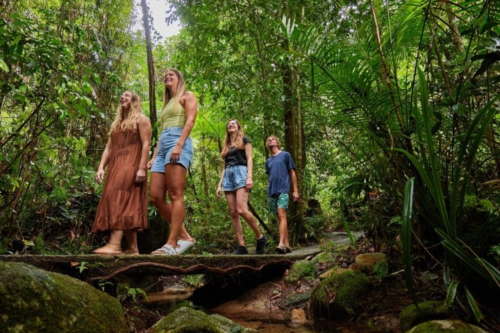 A man standing next to a tree on a Tblands Waterfall Day Tour