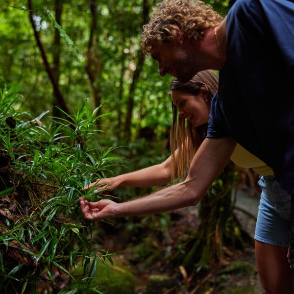 Man throwing a frisbee on a rainforest day trip in Cairns