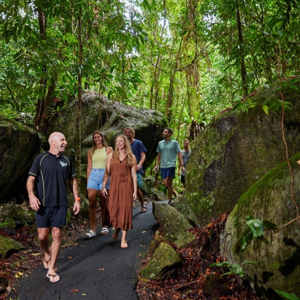 A man standing next to a tree on a rainforest walk day trip in Cairns