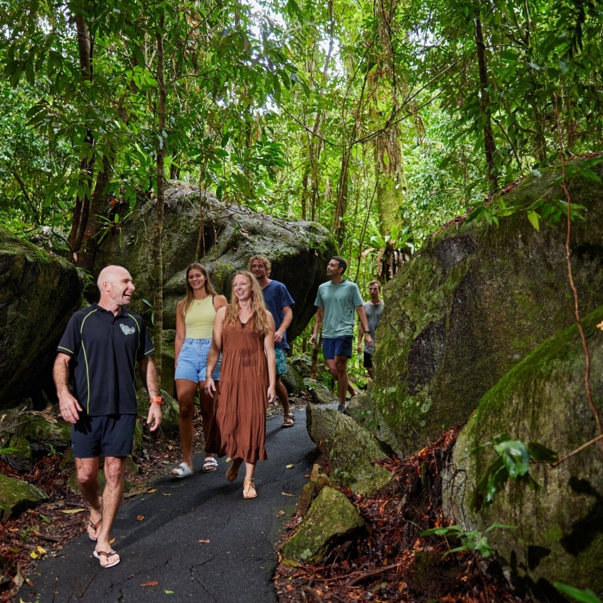 A man standing next to a tree on a rainforest walk day trip in Cairns