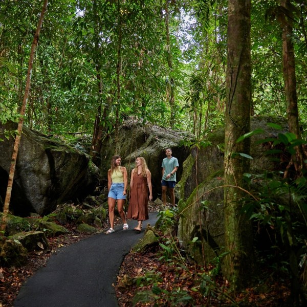Group of people in a forest on a rainforest day trip in Cairns